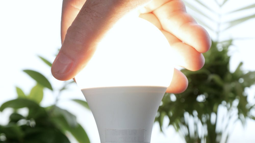 4 Things to Consider Before Buying Daylight LED Light Bulbs - Dulora