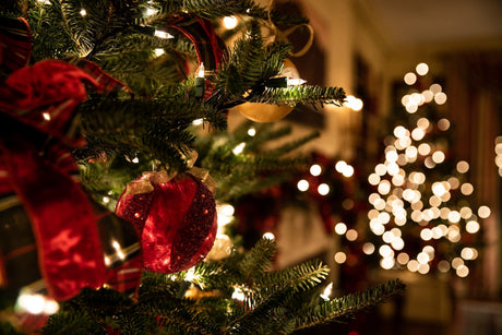 8 Things You Need to Know About LED Christmas Lights - LiquidLEDs™