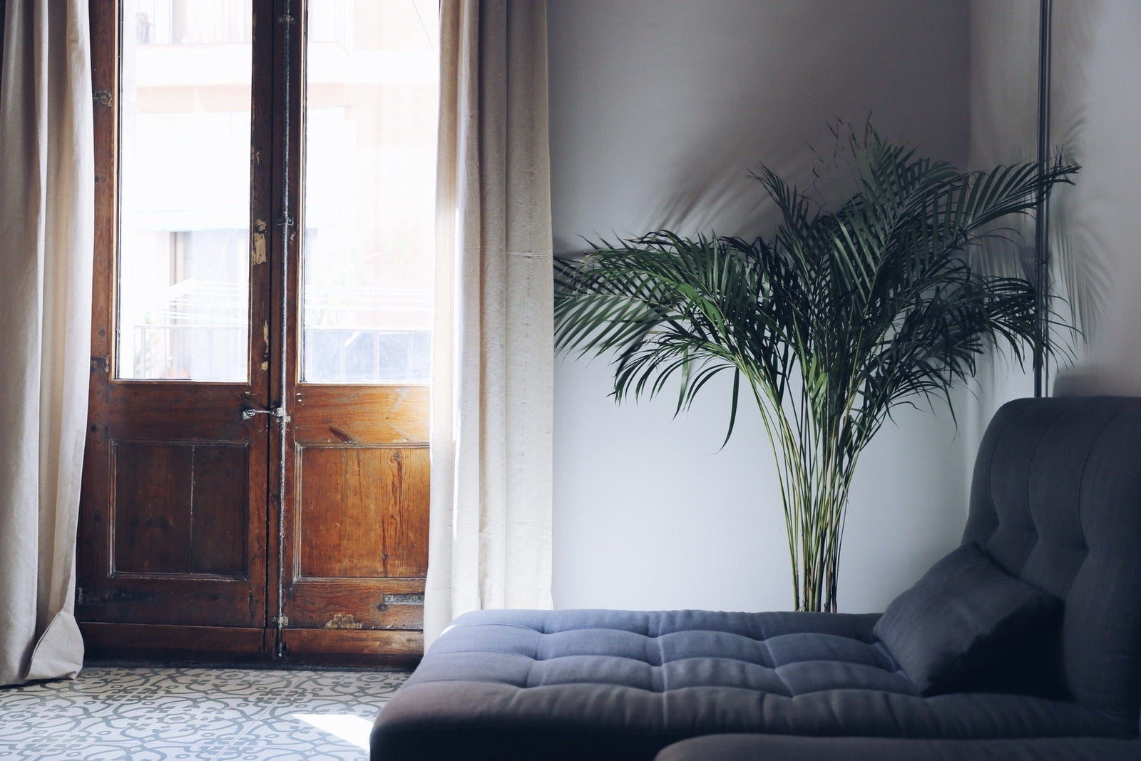 How to choose the Ideal Indoor Lighting for Plants - LiquidLEDs™