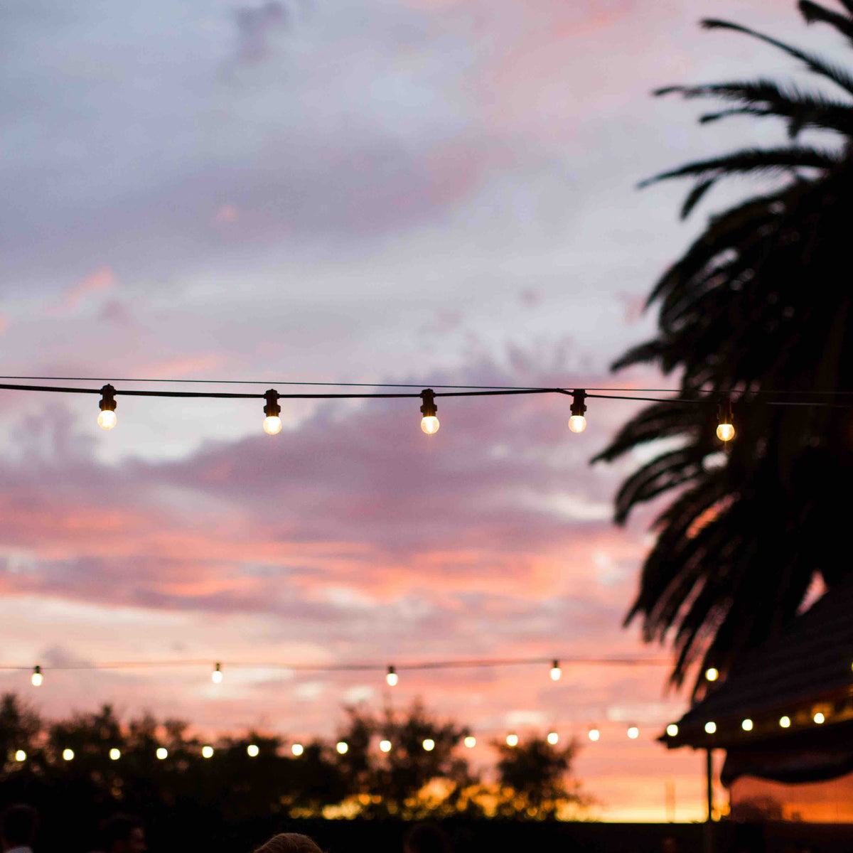 IP Ratings Explained (IP44 vs IP65 Festoon Lights) | Dulora