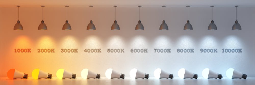 Warm White or Cool White — which one should you choose? - LiquidLEDs™
