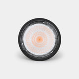 FlexBeam GU10 | Adjustable Spotlight - LiquidLEDs™ - Spotlight
