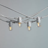 10m White Outdoor Festoon String Lights - LiquidLEDs™ - Festoon String